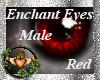 ~QI~ Enchant Eyes R M