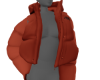 Northface Layerable