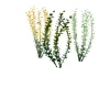 Matth SeaPlantsAnim