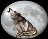 TG Wolf Moon 1