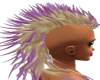 blond&purple tip hawk