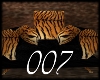 007 Tiger  chair