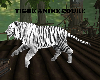 tigre blanc coure
