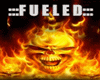 *P* FUELED BANNER 1