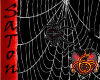 [SaT]Web+spider