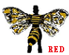 Bee's Wings animated
