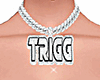 Trigg Custom