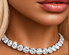 🅉 - Diamond Necklace
