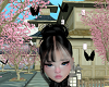 Black Butterflies