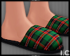 IC| Merry Slippers F