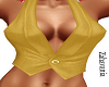 𝓩-  Gold Vest