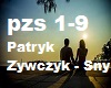 Patryk Zywczyk - Sny