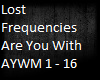 Lost Frequencies - AYWM