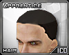 ICO Apprentice Hair
