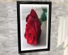 (H)Red rose II