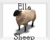 Ella Chateau Sheep