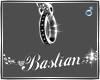 ChainRing|eBastian|m
