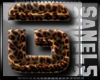 Leopard Letter G