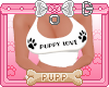 🐾 Puppy Love W&B