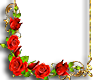 Roses Frame