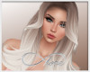 Gelciette - Nordic