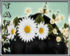 T* Flowers Crown
