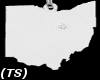 (TS) Sliver Ohio Chain