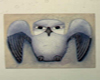 Silver Owl Cloak