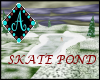 {Ama Icey Skate Pond