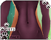 [Pets]Quin | abless kini