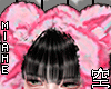 空 Bear Scarf 空