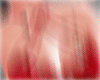 𑄝Kitten latex v3