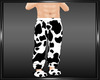 cows moo pants