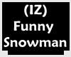 (IZ) Funny Snowman