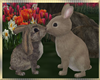 Spring ~ Rabbits