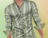 Sage Green Striped Shirt
