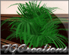 {TG} DeLiTe2-Plant Pot