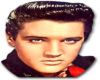 Elvis sticker
