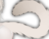 NNN.狐 Cat Tail