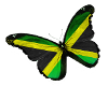 CoOL~ Jamaican Butterfli