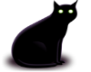 black cat