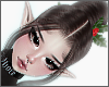 Holly Xmas Brown
