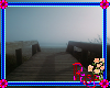 Foggy Beach Walk