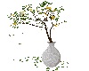plant tree 3