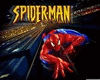 ~WS~ Spiderman Tot Bed