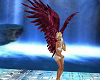 babbs angel wings maroon