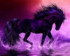 Purple Horse Room