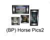 (BP) Horse Pics2 