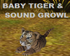 BABY TIGER&SOUND