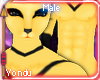 🐝 Hachi Male Fur